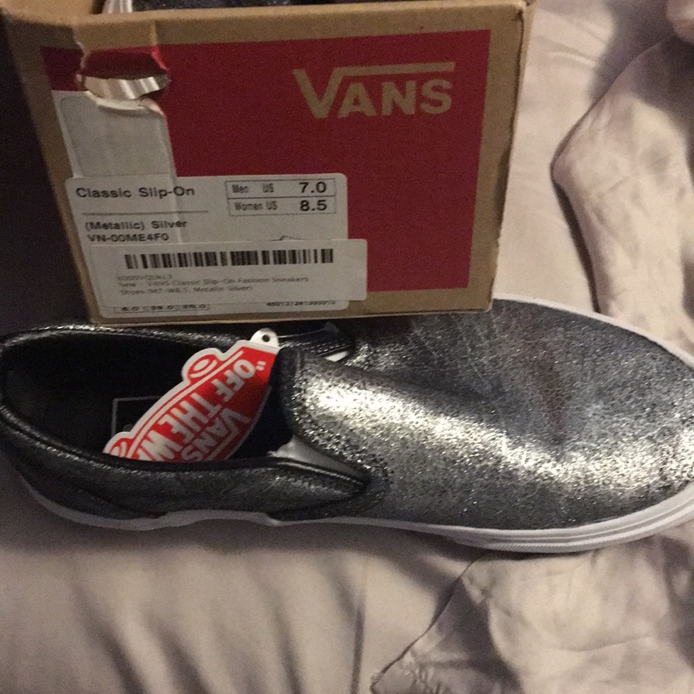 Metallic Silver Vans